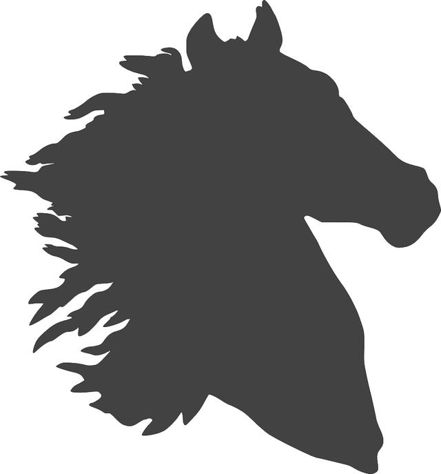Макет Контурный силуэт лошади для лазерной резки файл dxf