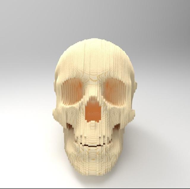 Макет 3D макет деревянного черепа для лазерной резки